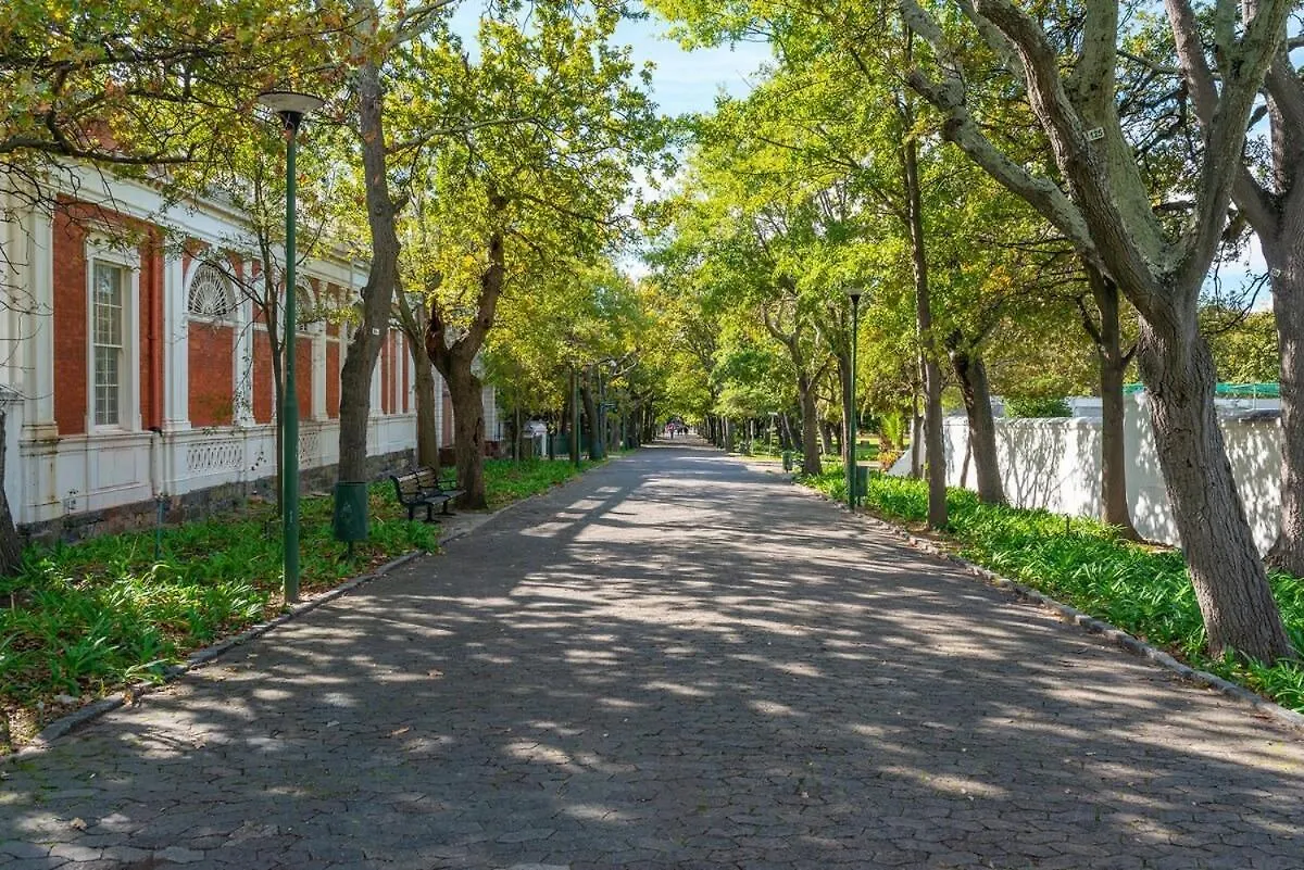 Perfect Couples Cove, With Hotel Living Comforts! Cape Town Inn